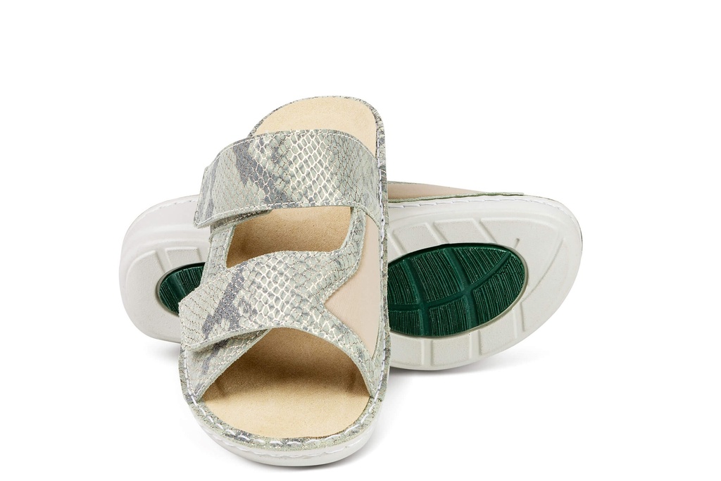 Tecnica Mara Verde 